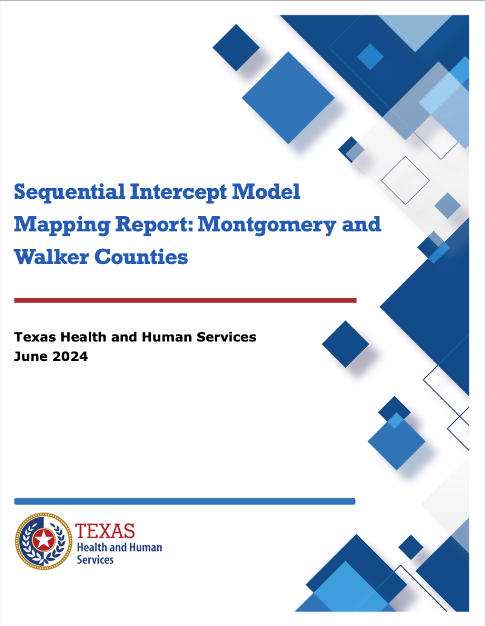 Montgomery County SIM Report