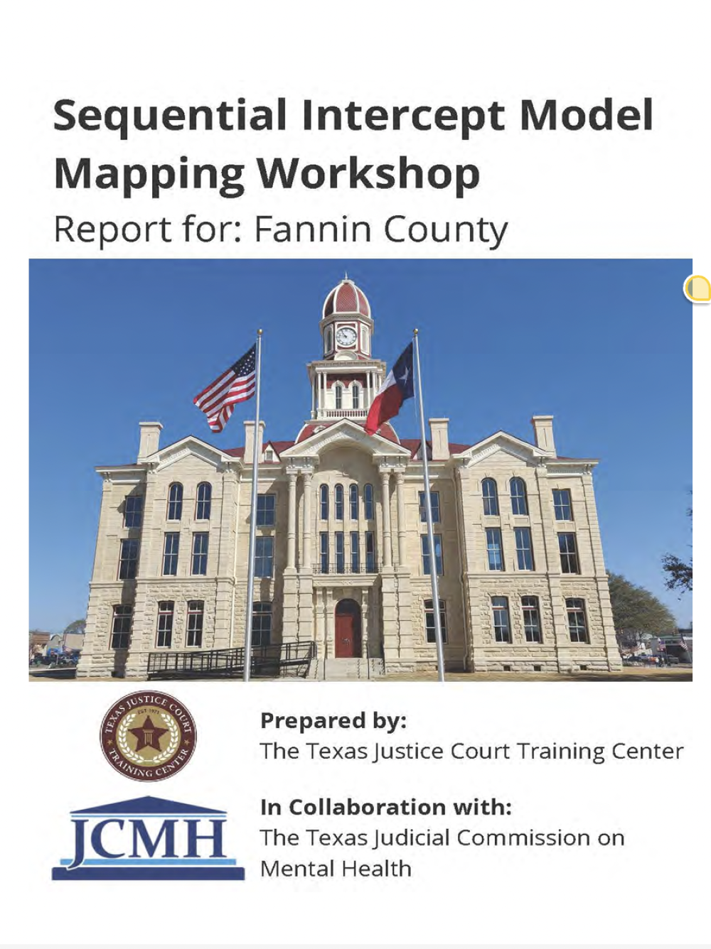 Fannin County SIM Report