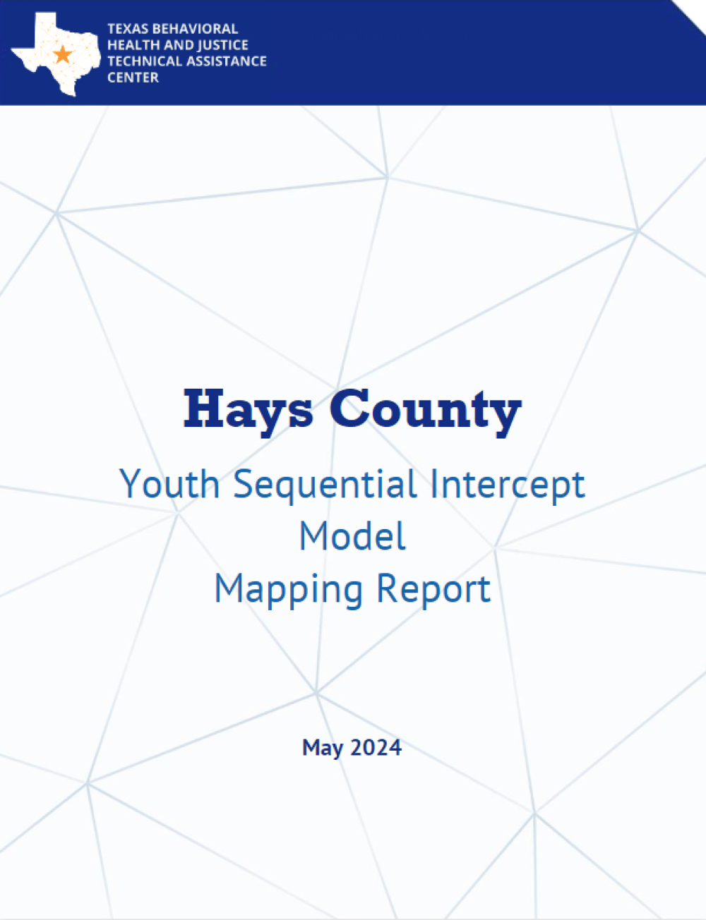 Hays County Youth SIM Report