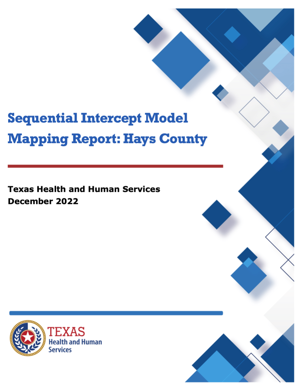 Hays County SIM Report
